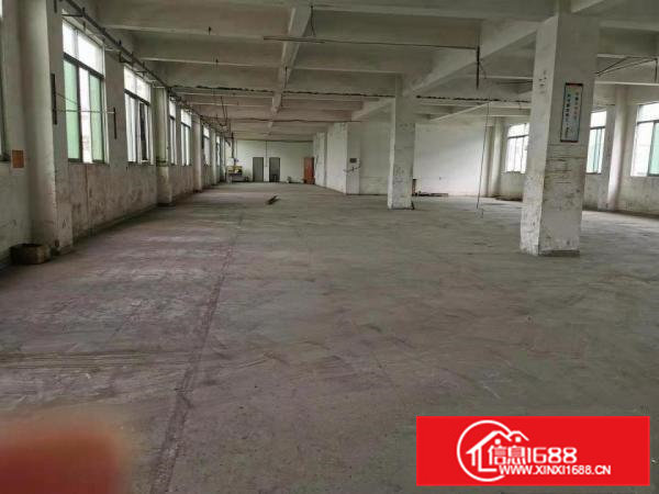 企石镇原房东独院标准厂房出租