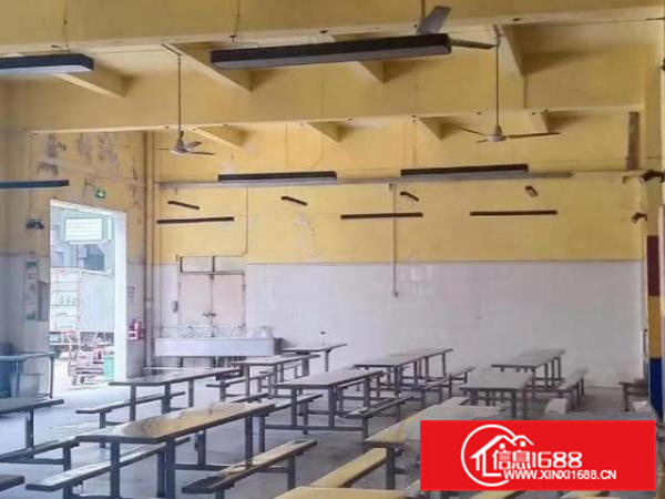 9元！虎门站旁马泽路，厂房出租可整可分