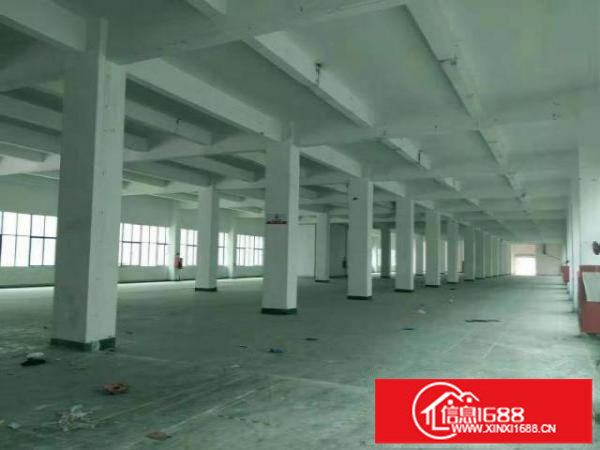 龙华大浪物业直租厂房出租一楼厂房出租4000平，可分租