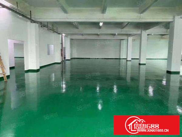 龙华区观澜新田附近880平全新装修厂房出租