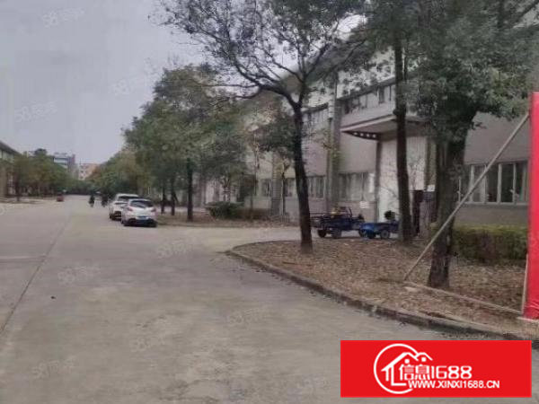 200平起租清溪重河新出单一层钢结构厂房28000平滴水8米