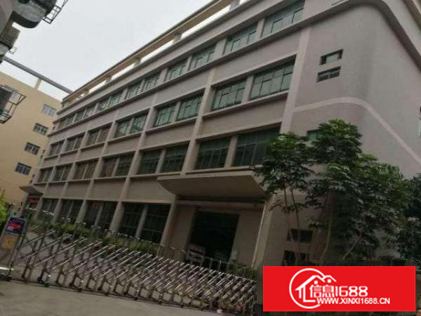 白花洞观光路边新出1-4层整栋8000平带红本