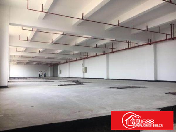 园区管理，电大近高速18000方顺德标准厂房可分租