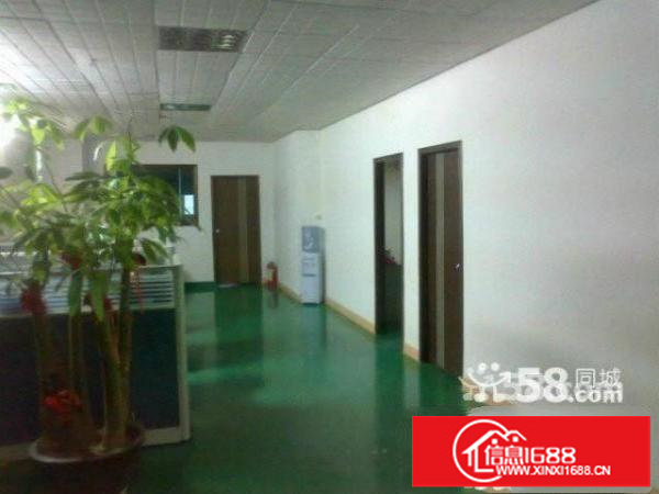 大浪澳华工业区新出三楼整层1000平原房东厂房招租