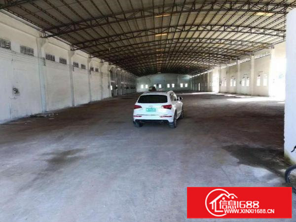 茶山南社小型单一层厂房700平方出租，滴水7米