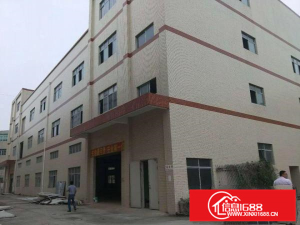 新圩4300平独栋厂房出租带消防喷淋，交通方便