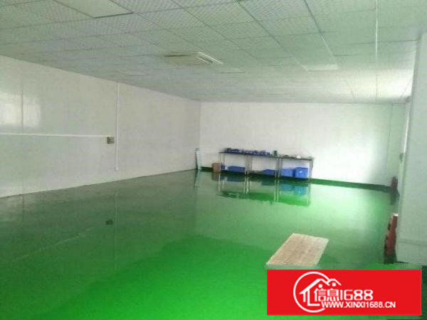 南联村工业园640平厂房带全新地坪漆出租，无尘车间