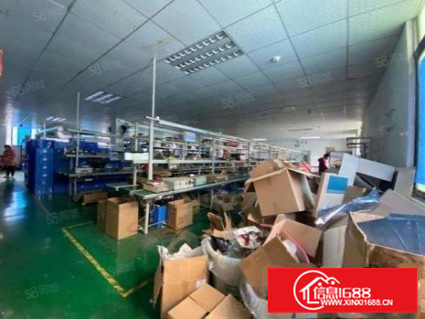 塘厦莲湖市场中心2楼550平吊顶装修厂房出租，方方正正