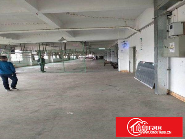 龙岗原房东楼上一整层2200平米带装修可分租