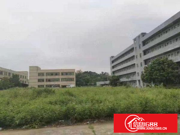 横沥镇独院花园式标准厂房38000平方出租，国有证厂房！