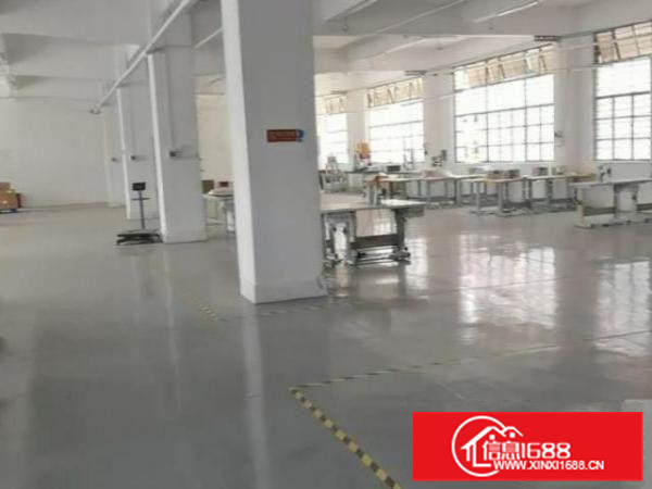 出租便宜厂房佑一村科技园