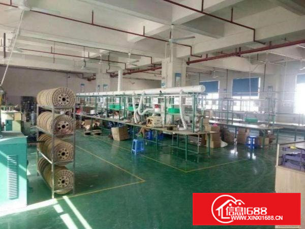 东坑井美楼上整层1000平米带精装修