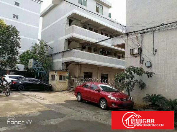 塘厦近清樟两镇经典独门独院厂房招租！！