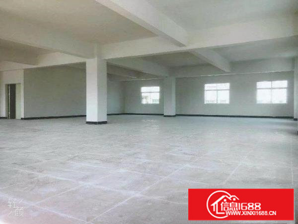 报价11大朗近大路边两层600平方厂房交通超方便