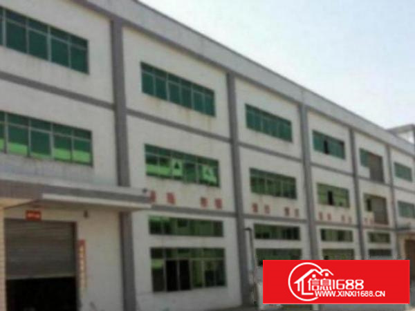 万江简沙洲(现成装修)标准一楼1000平方招租