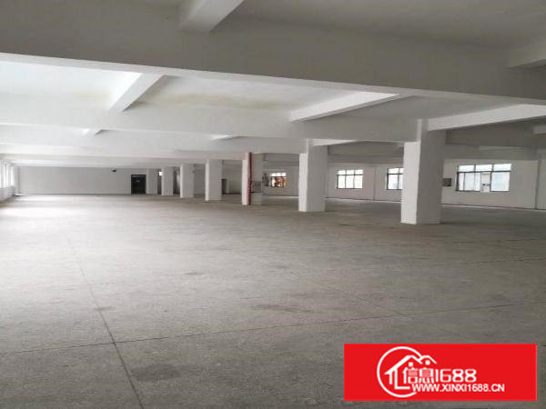 沙头新空出楼上一整层1300平方带办公室