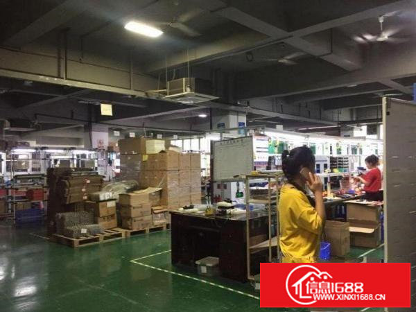 龙岗楼上1500平方带办公室精装修可分租