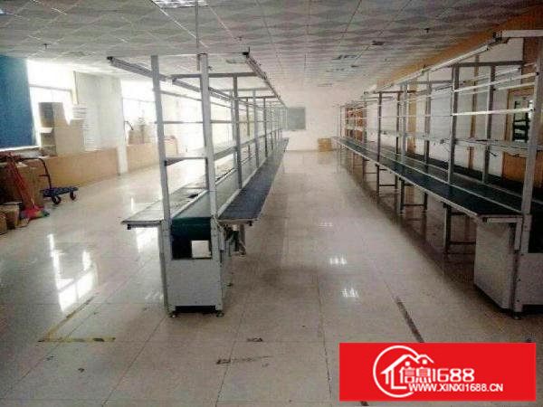 龙西五联北通道独院厂房3900平招租