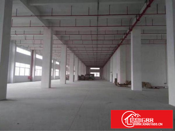 坑梓秀新新出1000平一楼标准厂房