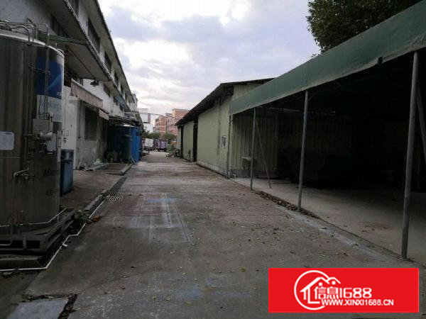 新装办公室，水电齐全钢构厂房