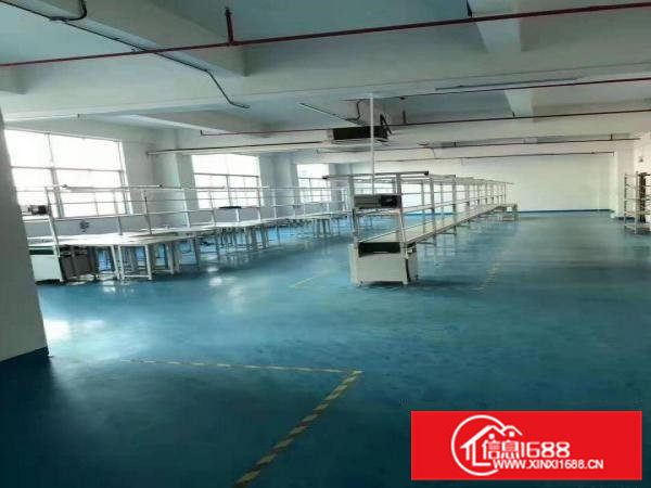 凤岗楼上厂房出租1200平电子组装加工贸易现成流水线