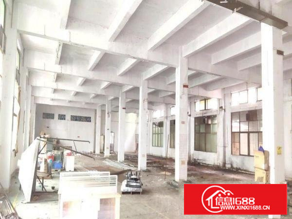 塘厦平山标准厂房一楼