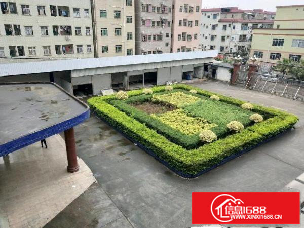 清溪三中管理区新出厂房36000平米