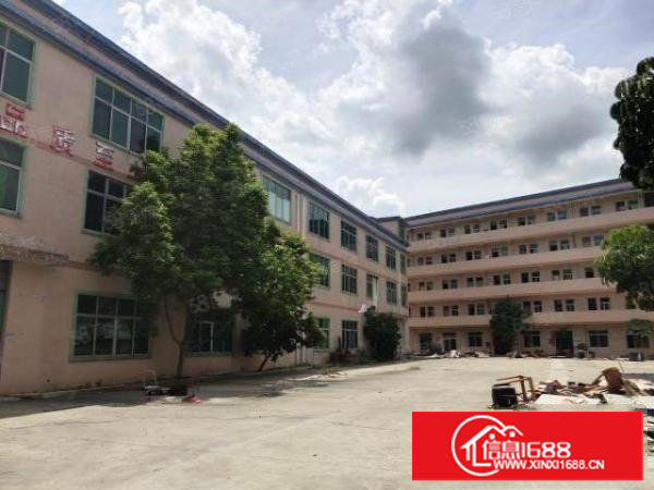 樟洋二楼带精装修1000平方出租