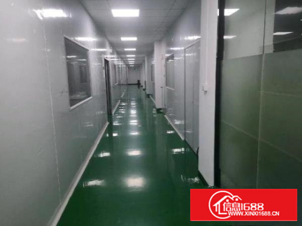 石岩龙大高速路口旁无尘车间分租500平米无转让费25元