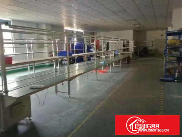 凤岗金凤凰带地坪漆精装修现成办公室厂房出租楼上650平方