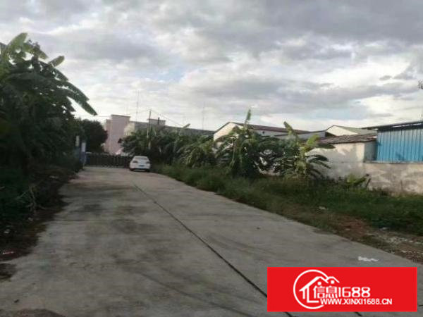 超大空地原房东单一层独院厂房占地2万，建筑总面积8800平