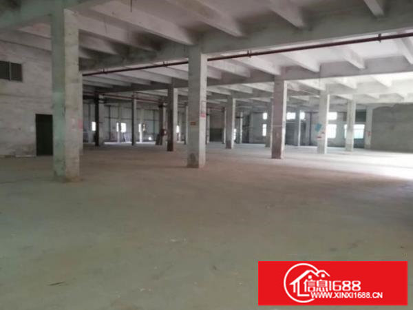 出租横岗原房东一楼厂房2800平可做物流及印刷等