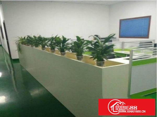 出租龙岗区水官高速新空出楼上500平精装修标准厂房