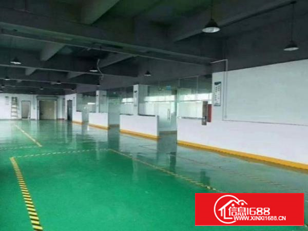 茶山京山村原房东厂房一楼500平方出租、地坪漆