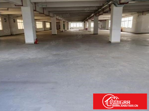 布吉丹竹头新出一楼二楼2000平标准厂房出租大小可分租