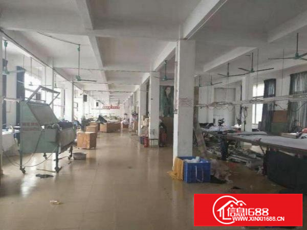 惠阳镇隆标准厂房1500方、可分租、交通方便、电大