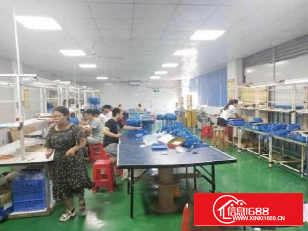 西乡鹤洲楼上900平精装修厂房出租