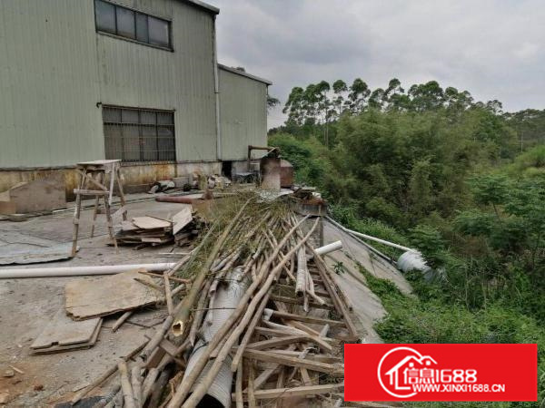 惠东县白花镇原房东铁皮房1200平方出租