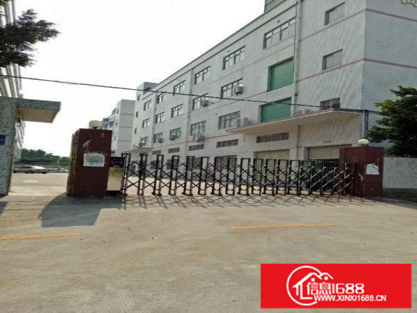 坪山区坑梓金沙市场标准一楼1100平米厂房出租