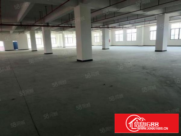 茶山原房东标经典独院厂房13层4700，带消防喷淋，