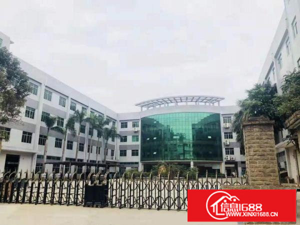 坪山同乐独栋厂房空地大