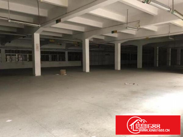 常平|新出原房东标准独院厂房6500平方米