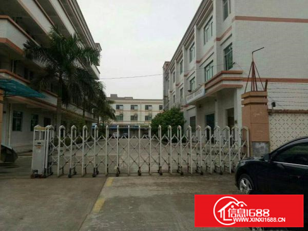 潼侨新出独院带装修标准厂房6500原房东招租