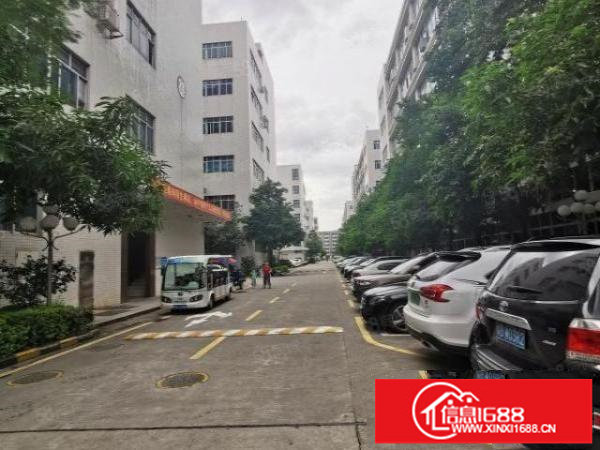 布吉上李朗水官高速出口主干道边原房东一楼1000平方厂房出租