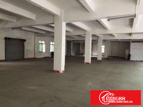 东莞企石镇新出一楼标准厂房800平方分租