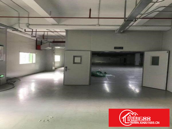 大朗莞樟路边无尘车间1200㎡出租