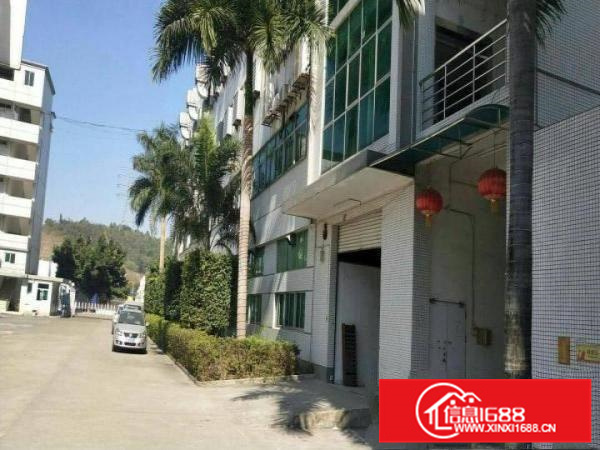 秋长白石2楼一整层2000平厂房带装修有电梯招租