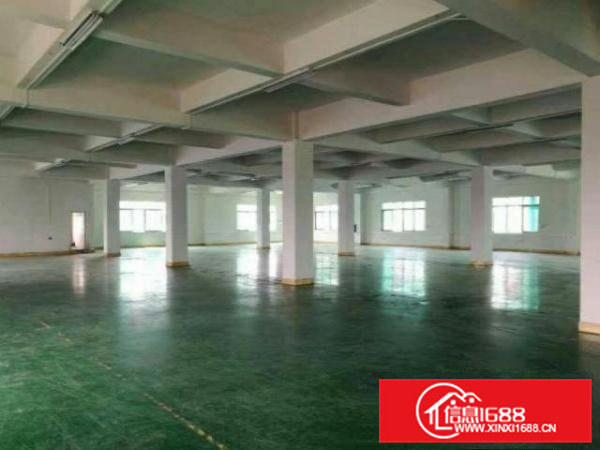 大利新出2楼实际面积800平带装修厂房出租，原房东