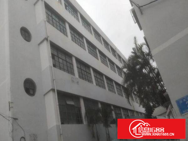 坪山原房东独院5300平厂房出租13元13元