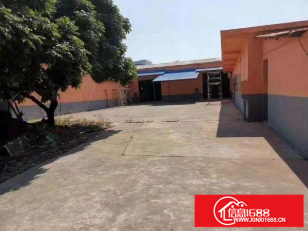 长巷单层厂房1080平8米高，房东是主任，适合任何行业